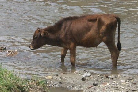  AbKühlung